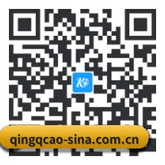 iOS 防封体系版 二维码
